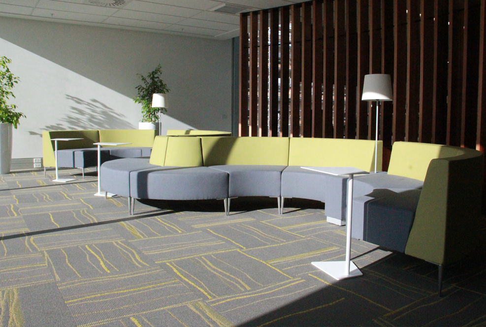 MSC fitout by Fuze Business Interiors