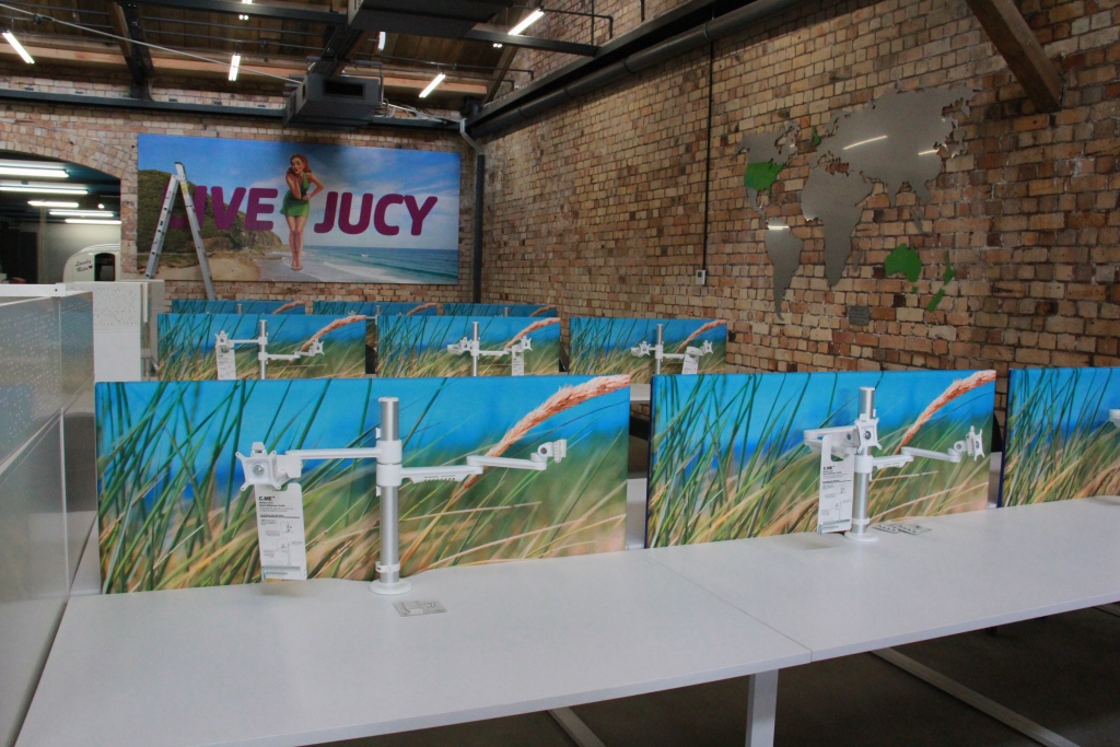 Custom landscape desk screens in the JUCY workplace