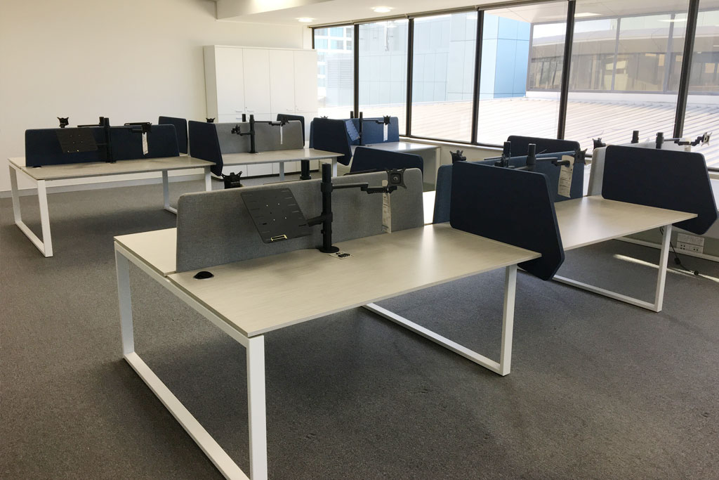 Open-plan workstations in the Diplomat Global Takapuna office