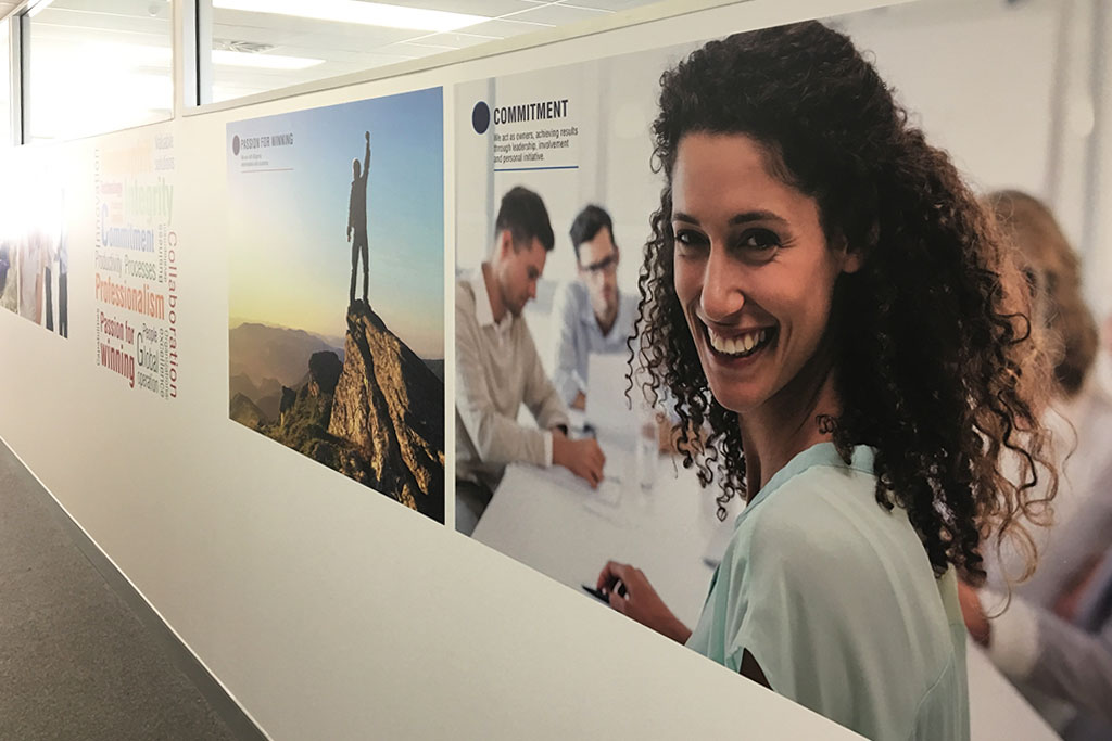Diplomat Global branded wall graphics in the Takapuna office